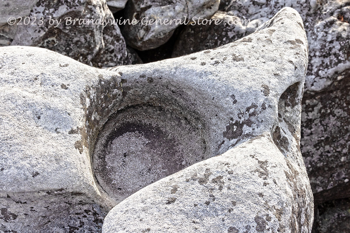 An original premium quality art print of Bird Bath on Tail End of Rock in Dolly Sods WV