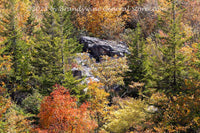 An original premium quality art print of Fall Colors and Rocks in the Valley Below Dolly Sods for sale by Brandywine General Store