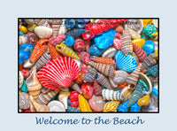 An original premium quality poster of Rainbow of Painted Sea Shells for sale by Brandywine General Store