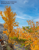 An original premium quality art print of Yellow Trees and Boots on Top of Seneca Rocks for sale by Brandywine General Store