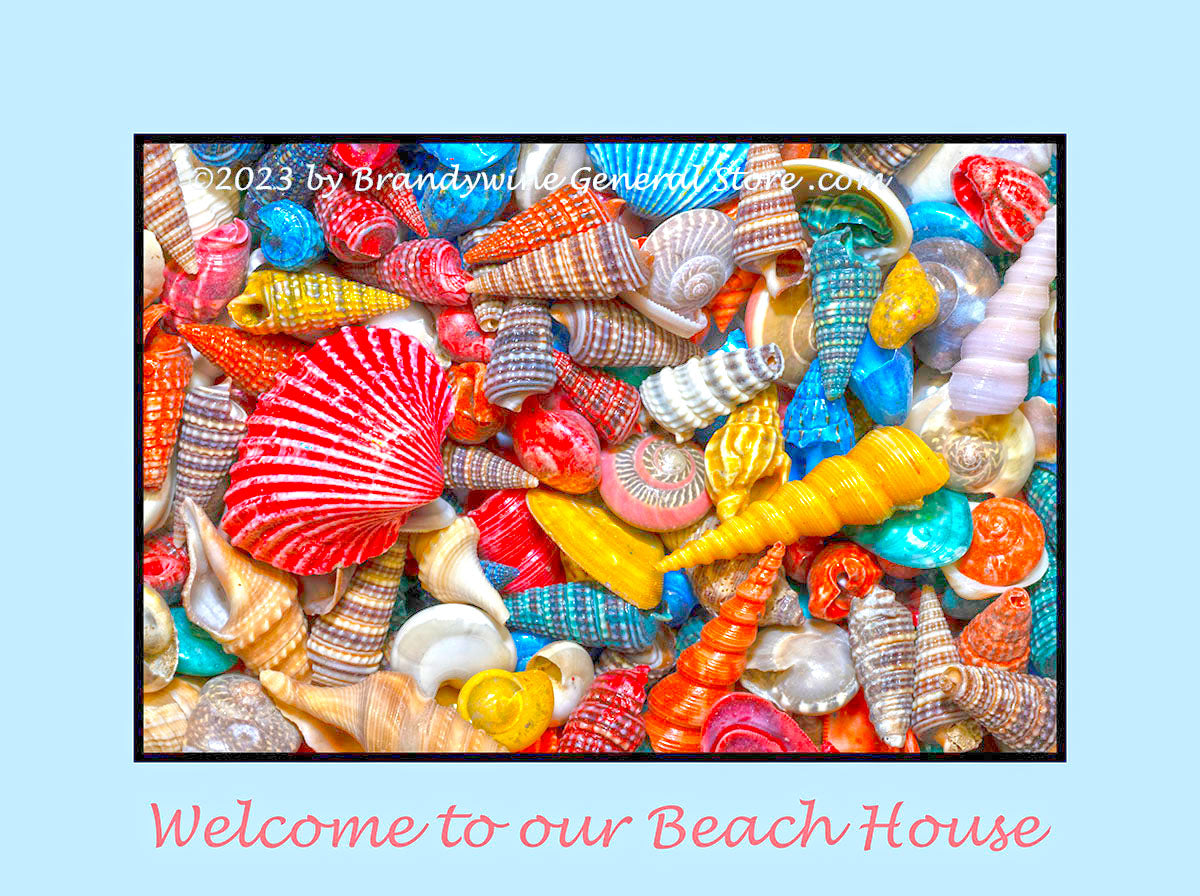 An original premium quality poster of Group of Small Painted Sea Shells