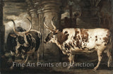 An archival premium Quality art Print of Two Extraordinary Oxen, the Property of The Earl of Powis by James Ward for sale by Brandywine General Store