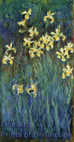 An archival premium Quality Art Print of Yellow Irises by Claude Monet for sale by Brandywine General Store