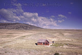 Old Homestead in the Middle of Pasture Fields in the state of Montana Art Print