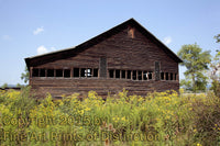 An archival premium Quality Art Print of an Old Log Barn in the Weeds for sale by Brandywine General Store