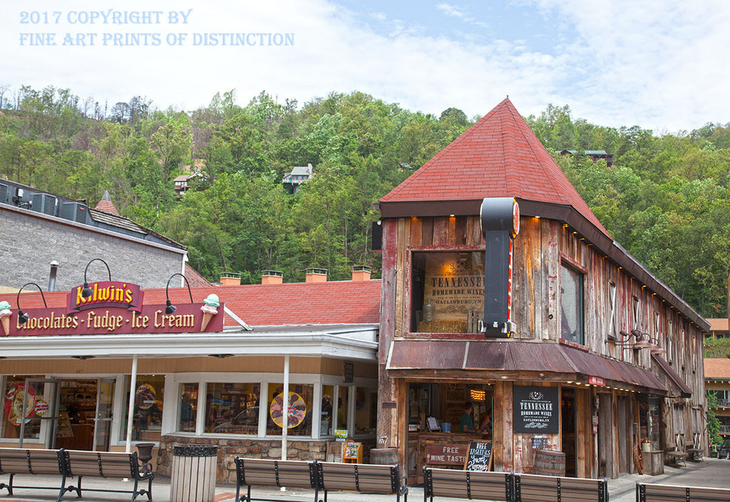 Tennessee Homemade Wines and Ice Cream Shop at Gatlinburg Brandywine