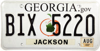 2010 Georgia .gov License Plate
