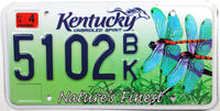 A 2010 DMV Kentucky Graphic car License Plate with a Dragonfly grading NOS Near Mint for sale by Brandywine General Store