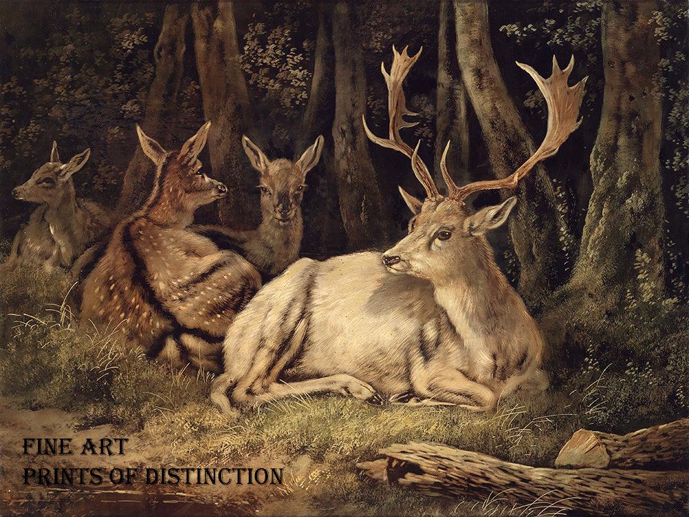 Art Print of Dammwild or Fallow Deer  painting by the German artist August Schleich