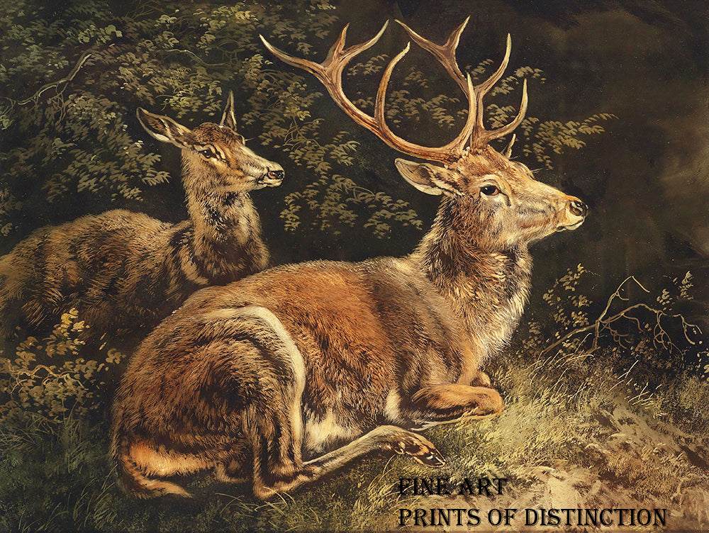 Art Print of Rotwild or Red Deer an oil on canvas painted by the German Artist, August Schleich