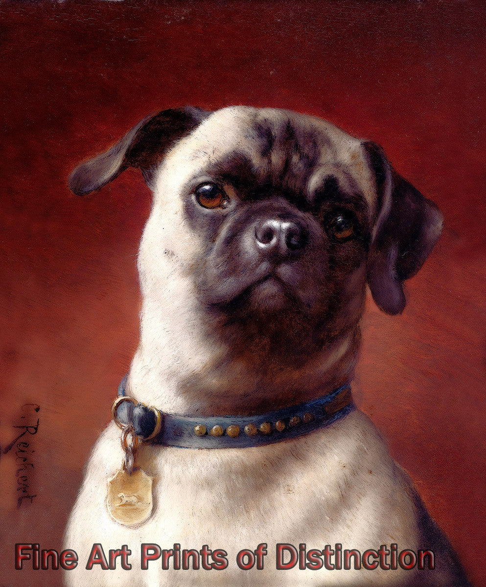 Art Print of Pug painting by Carl Reichert