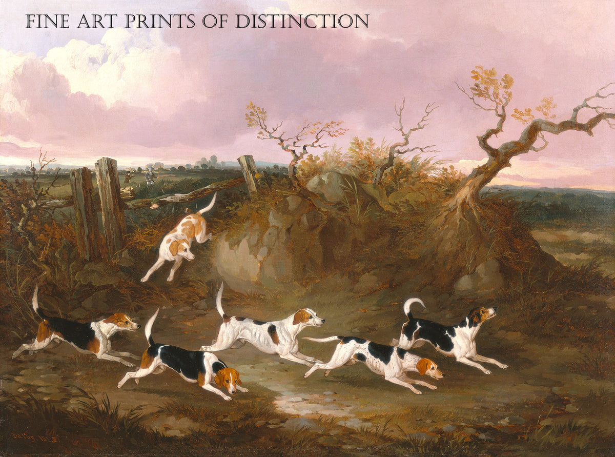 Art Print of Beagles in Full Cry painted by English artist John Dalby