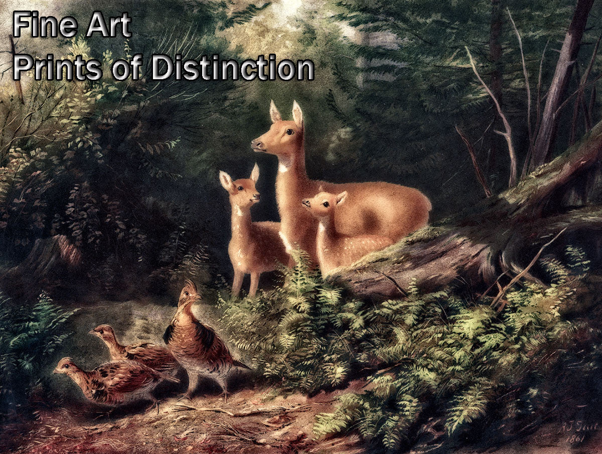 Art Print of A Deer and Grouse Family in the Woods artwork