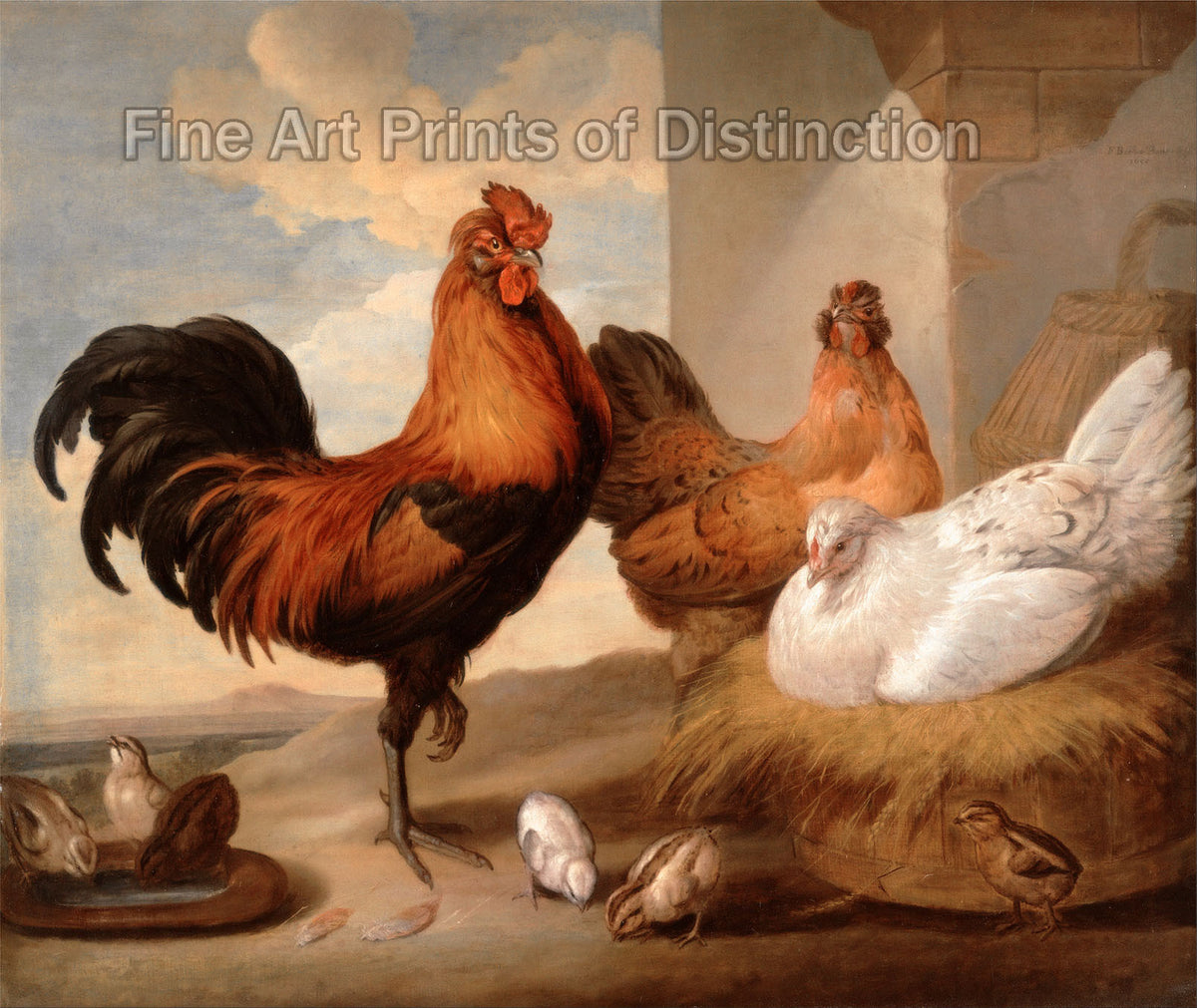 Domestic Cock, Hens and Chicks painting by Francis Barlow