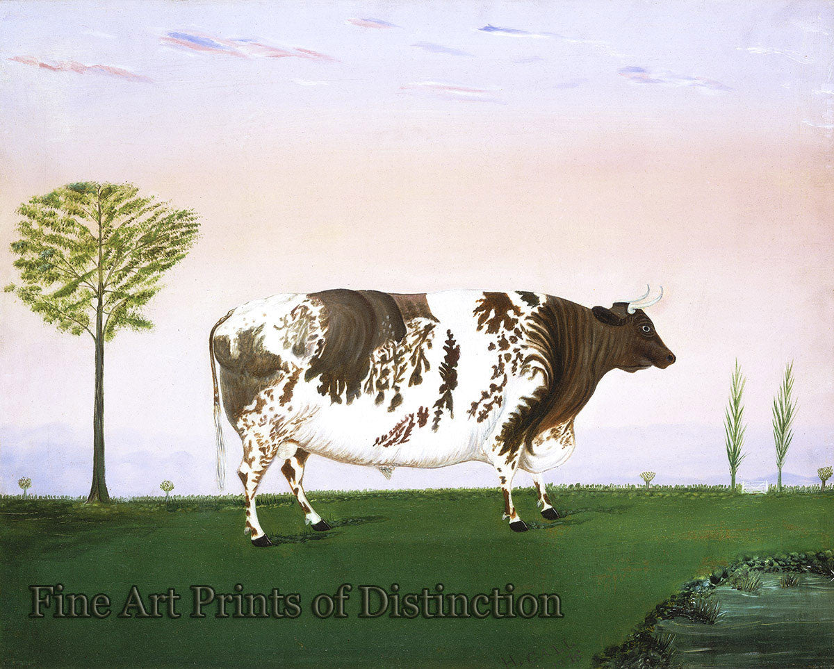 A folk art Print of A Prize Bull by H. Call showing large patterned bull