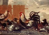 Art Print of Rooster in the Barnyard by an Unknown 17th century Flemish painter