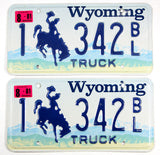 A classic pair of 2001 Wyoming truck license plates from Natrone County for sale by Brandywine General Store in very good plus condition