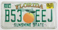 A 2003 Florida passenger car license plate for sale by Brandywine General Store in very good plus condition