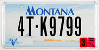 A single classic 2005 Montana truck license plate for sale by Brandywine General Store in excellent minus condition