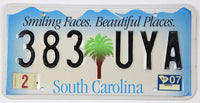 2007 South Carolina license plate with palm tree and scenic design