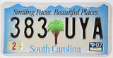 2007 South Carolina license plate with palm tree and scenic design