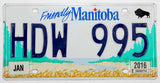 A 2016 Manitoba Canada passenger car license plate for sale at Brandywine General Store in excellent minus condition