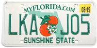 A 2019 Florida passenger car license plate for sale by Brandywine General Store in excellent minus condition