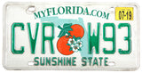 A 2019 Florida passenger car license plate for sale by Brandywine General Store in very good plus condition
