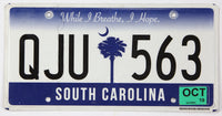 2019 South Carolina license plate with text and a palm tree design