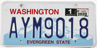 scenic 2020 Washington car license plate grading very good plus