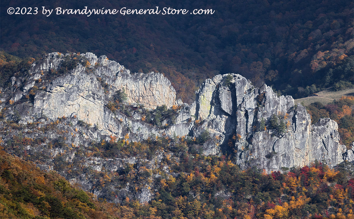Seneca Rocks Piller A View of Seneca Rocks from the Mountains art print | Brandywine ...