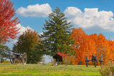 An original premium quality art print of Autumn Splendor in Gettysburg National Cemetery for sale by Brandywine General Store