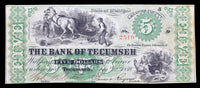 An obsolete Bank of Tecumseh Michigan five dollar banknote issued August 22, 1859 for sale by Brandywine General Store in very fine condition
