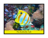 a Poster of Butterfly Fish Swimming Peacefully