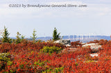 An original premium quality art print of Dolly Sods Landscape with Windmills