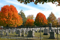 An original premium quality art print of Evergreen Cemetery with Iron Fence in Gettysburg for sale by Brandywine General Store