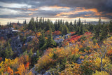 An original premium quality art print of Fall Colors Among the Rocks in the Evening Sun at Dolly Sods WV for sale by Brandywine General Store