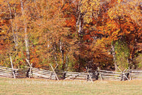 An original premium quality art print of Fall Scene with Rail Fence at the Virginia Monument in Gettysburg National Military Park for sale by Brandywine General Store