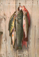 An archival premium Quality art Print of Fish on a Wood Plank for sale by Brandywine General Store