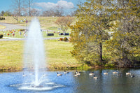 An original premium quality art print of a Gaggle of Geese Swimming Around Water Fountain in Manassas Battlefield Park for sale by Brandywine General Store