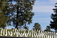 An original premium quality art print of Gettysburg Cemetery with Stones and Canon in full Sun for sale by Brandywine General Store