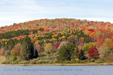 art print of rounded knoll at Spruce Knob lake WV with autumn colors