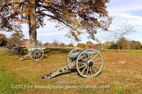An original premium quality art print of Lewis's Artillery Cannon under Tree in Gettysburg Military Park for sale by Brandywine General Store