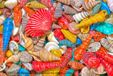 art print of Miniature Painted Beach Sea Shells