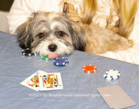 An original premium quality art print of Poker Playing Dog Opens with Jacks for sale by Brandywine General Store