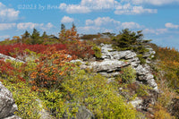 An original premium quality art print of Rhododendrons, Rocks and Red Bushes at Dolly Sods WV for sale by Brandywine General Store