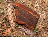 An original premium quality art print of Rich Brown Bark Bordered by Pine Cones
