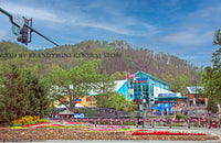 An archival premium Quality art Print of Ripley's Aquarium in Gatlinburg Tennessee for sale by Brandywine General Store
