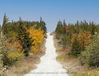 An art print of Road Straight off a Cliff in Dolly Sods WV