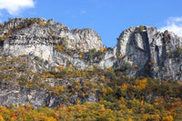 An original premium quality art print of Seneca Rocks Close Up with Fall Leaves for sale by Brandywine General Store